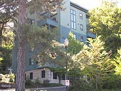 Arbor Vista