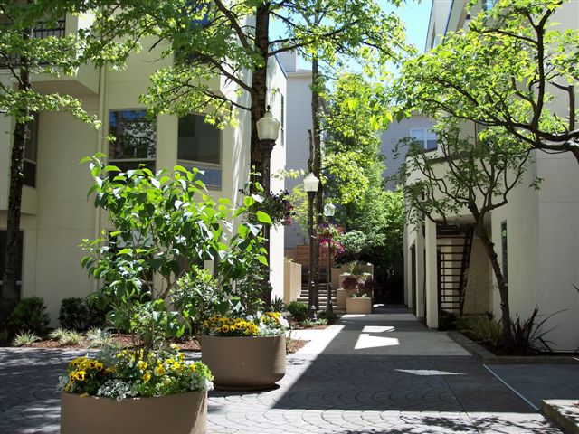 Clay Street Commons