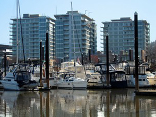 Strand, The